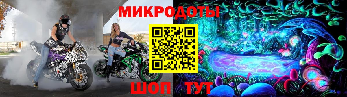 Галлюциногенные грибы Psilocybe Зима