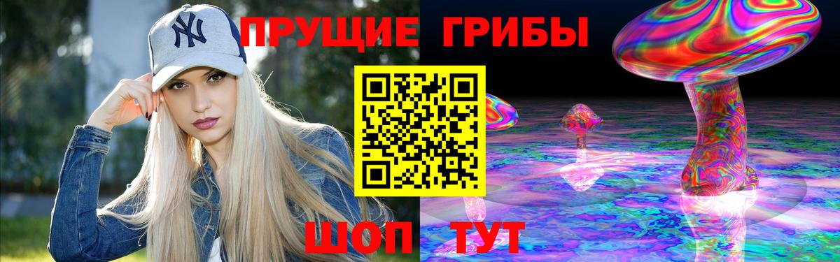 Зима  Псилоцибиновые грибы мицелий  Псилоцибиновые грибы GOLDEN TEACHER  Вход с VPN 